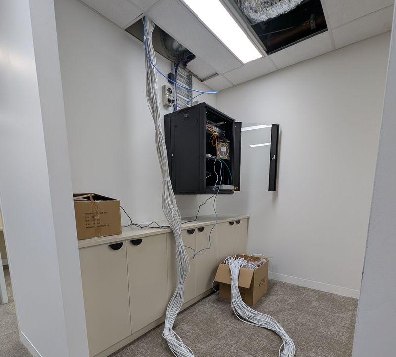 Bundled data cables dropping from the ceiling to a wall-mounted comms rack in an office
